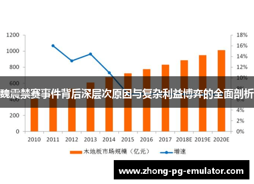 魏震禁赛事件背后深层次原因与复杂利益博弈的全面剖析