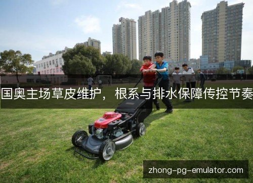 国奥主场草皮维护，根系与排水保障传控节奏